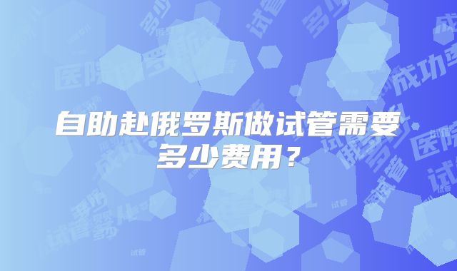 自助赴俄罗斯做试管需要多少费用？