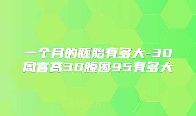 一个月的胚胎有多大-30周宫高30腹围95有多大