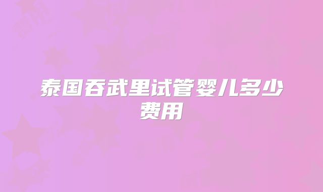 泰国吞武里试管婴儿多少费用