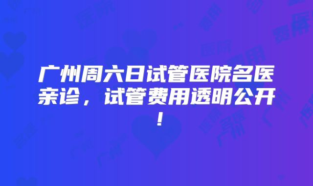 广州周六日试管医院名医亲诊，试管费用透明公开！