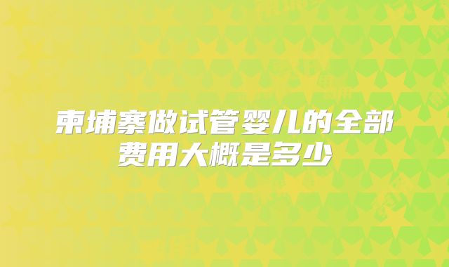 柬埔寨做试管婴儿的全部费用大概是多少
