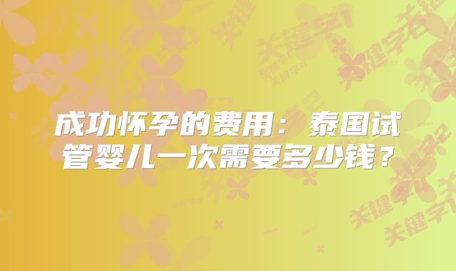 成功怀孕的费用：泰国试管婴儿一次需要多少钱？