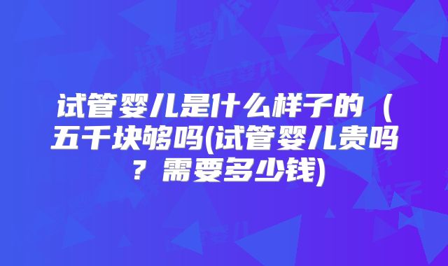 试管婴儿是什么样子的（五千块够吗(试管婴儿贵吗？需要多少钱)