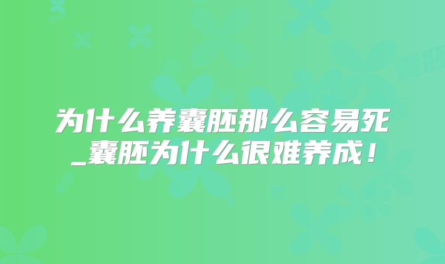 为什么养囊胚那么容易死_囊胚为什么很难养成！