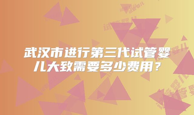 武汉市进行第三代试管婴儿大致需要多少费用？