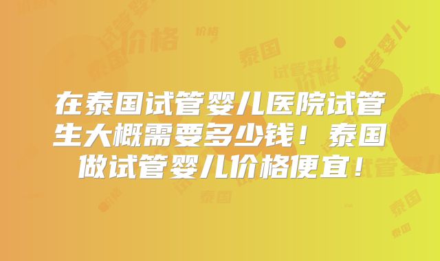 在泰国试管婴儿医院试管生大概需要多少钱！泰国做试管婴儿价格便宜！