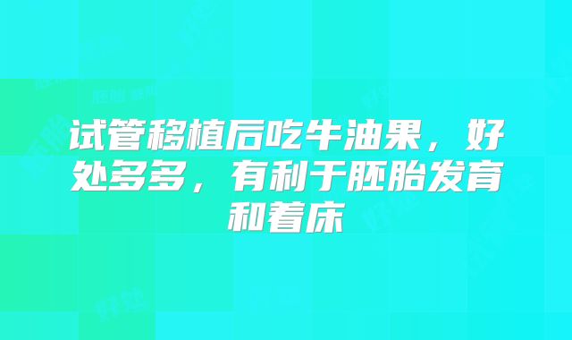 试管移植后吃牛油果，好处多多，有利于胚胎发育和着床