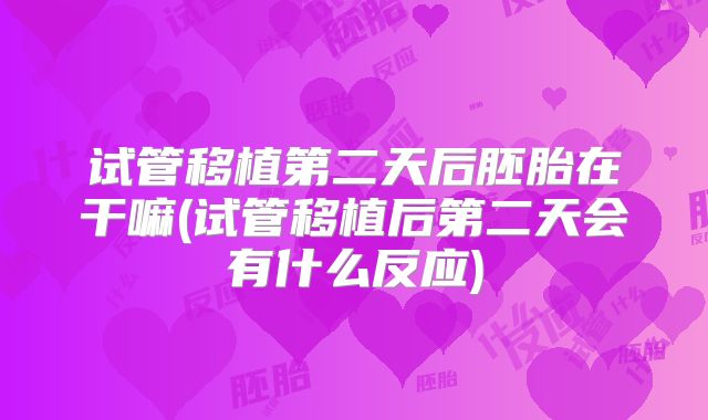 试管移植第二天后胚胎在干嘛(试管移植后第二天会有什么反应)