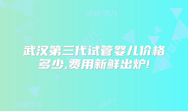 武汉第三代试管婴儿价格多少,费用新鲜出炉!