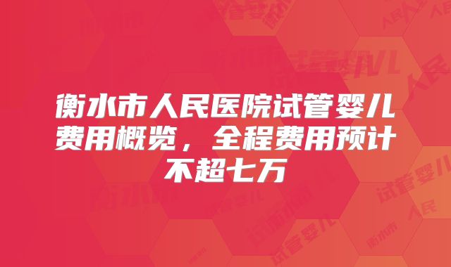 衡水市人民医院试管婴儿费用概览，全程费用预计不超七万