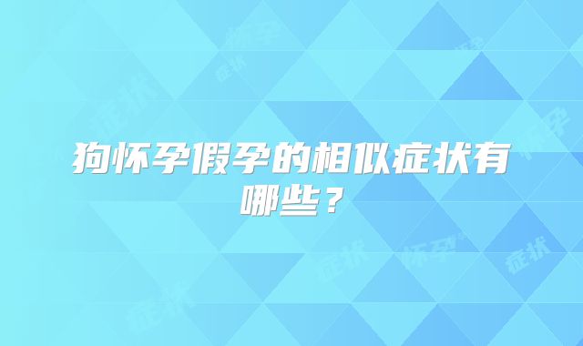 狗怀孕假孕的相似症状有哪些?
