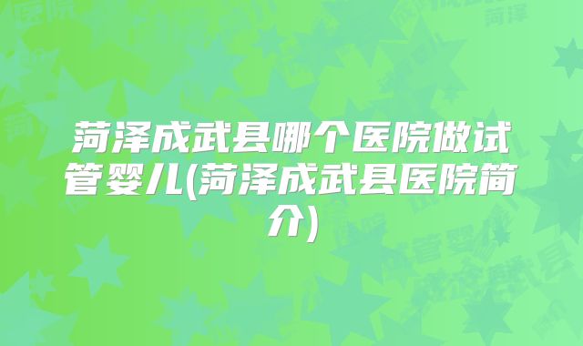 菏泽成武县哪个医院做试管婴儿(菏泽成武县医院简介)