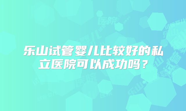 乐山试管婴儿比较好的私立医院可以成功吗?
