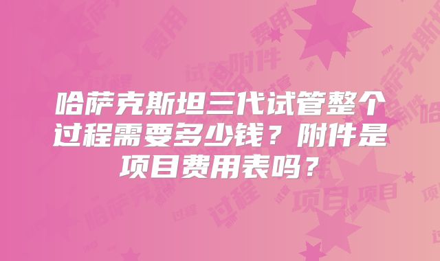 哈萨克斯坦三代试管整个过程需要多少钱？附件是项目费用表吗？
