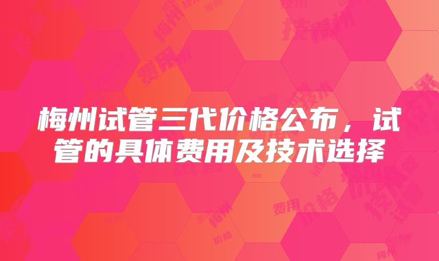 梅州试管三代价格公布,试管的具体费用及技术选择