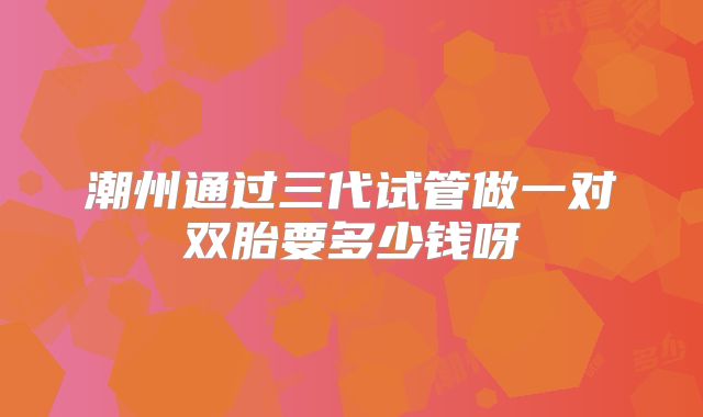 潮州通过三代试管做一对双胎要多少钱呀