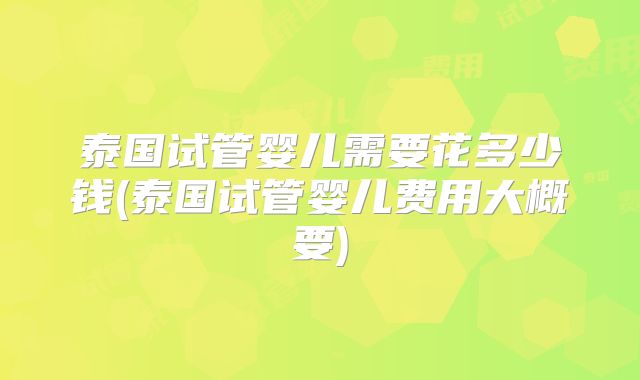 泰国试管婴儿需要花多少钱(泰国试管婴儿费用大概要)