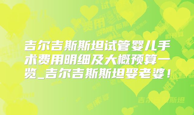 吉尔吉斯斯坦试管婴儿手术费用明细及大概预算一览_吉尔吉斯斯坦娶老婆！