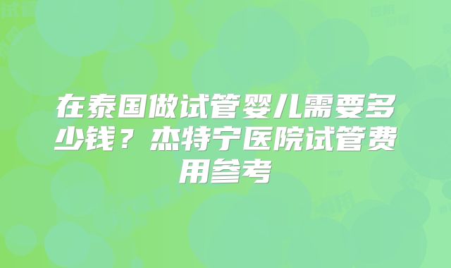 在泰国做试管婴儿需要多少钱？杰特宁医院试管费用参考