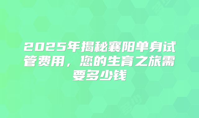 2025年揭秘襄阳单身试管费用，您的生育之旅需要多少钱