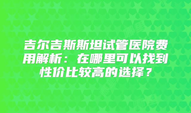 吉尔吉斯斯坦试管医院费用解析：在哪里可以找到性价比较高的选择？