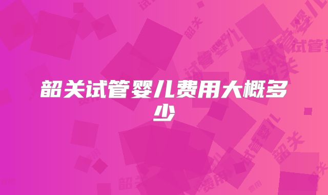 韶关试管婴儿费用大概多少