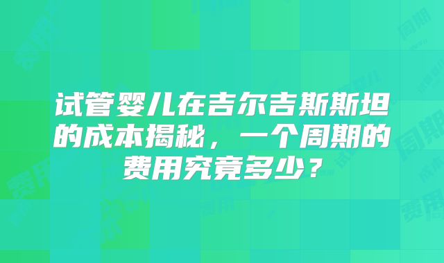 试管婴儿在吉尔吉斯斯坦的成本揭秘，一个周期的费用究竟多少？