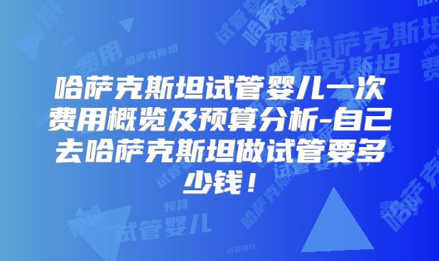 哈萨克斯坦试管婴儿一次费用概览及预算分析-自己去哈萨克斯坦做试管要多少钱！
