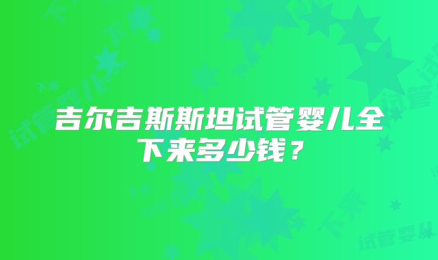 吉尔吉斯斯坦试管婴儿全下来多少钱?