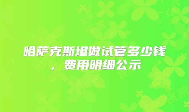 哈萨克斯坦做试管多少钱,费用明细公示