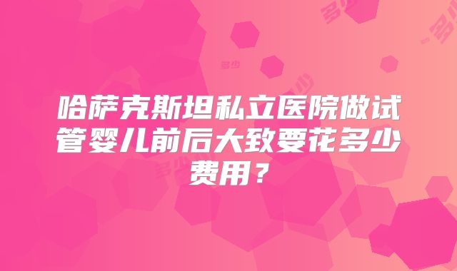 哈萨克斯坦私立医院做试管婴儿前后大致要花多少费用？