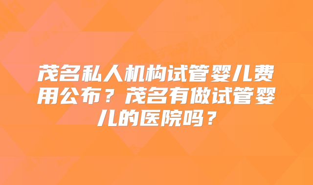 茂名私人机构试管婴儿费用公布？茂名有做试管婴儿的医院吗？