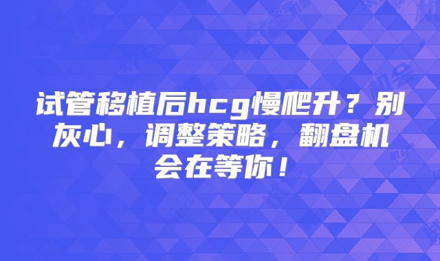 试管移植后hcg慢爬升？别灰心，调整策略，翻盘机会在等你！