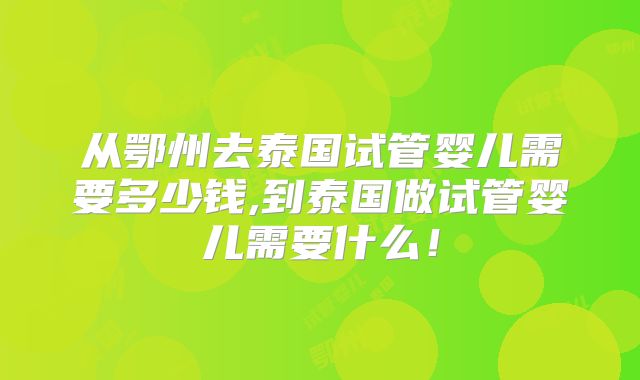 从鄂州去泰国试管婴儿需要多少钱,到泰国做试管婴儿需要什么!