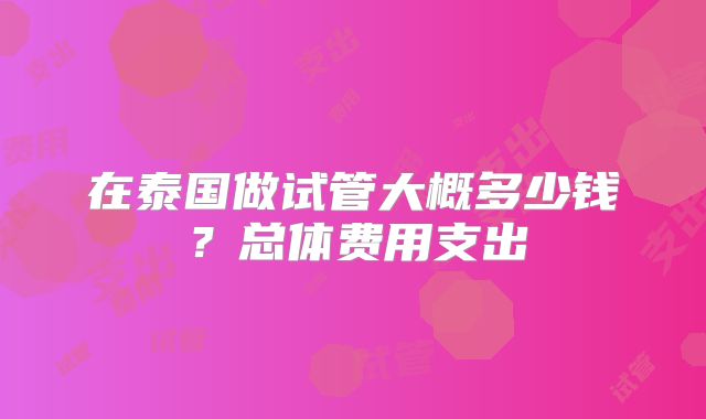 在泰国做试管大概多少钱？总体费用支出