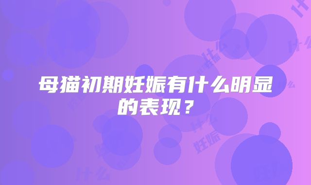 母猫初期妊娠有什么明显的表现？