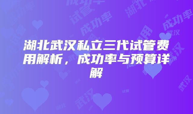 湖北武汉私立三代试管费用解析，成功率与预算详解