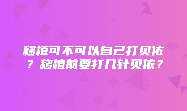 移植可不可以自己打贝依？移植前要打几针贝依？