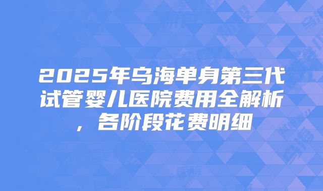 2025年乌海单身第三代试管婴儿医院费用全解析,各阶段花费明细