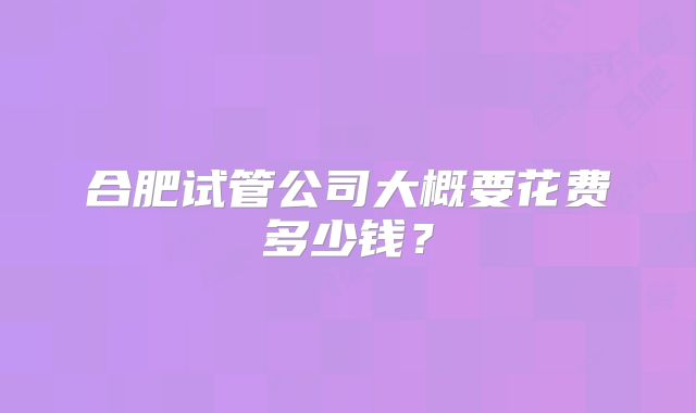 合肥试管公司大概要花费多少钱？