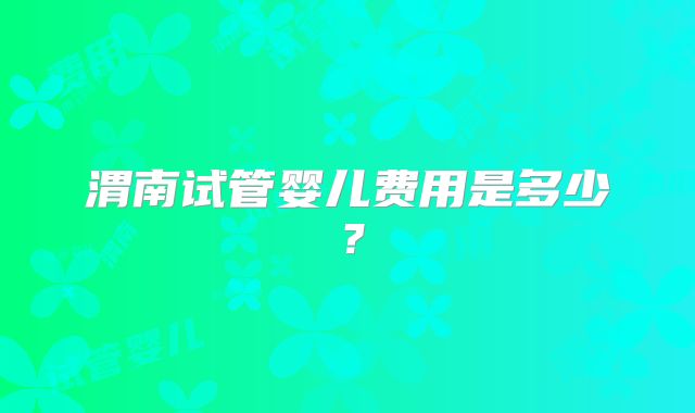 渭南试管婴儿费用是多少？