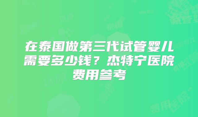 在泰国做第三代试管婴儿需要多少钱？杰特宁医院费用参考