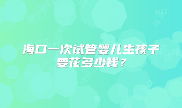 海口一次试管婴儿生孩子要花多少钱？