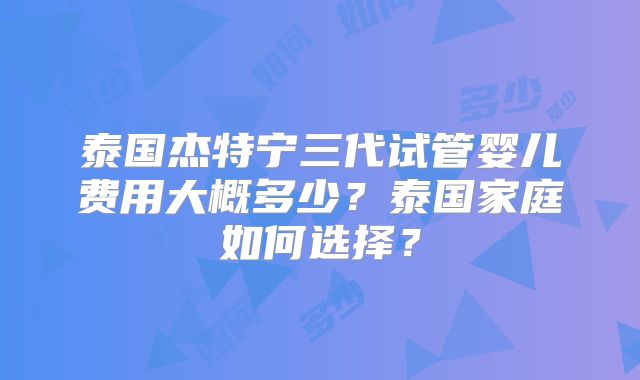 泰国杰特宁三代试管婴儿费用大概多少？泰国家庭如何选择？