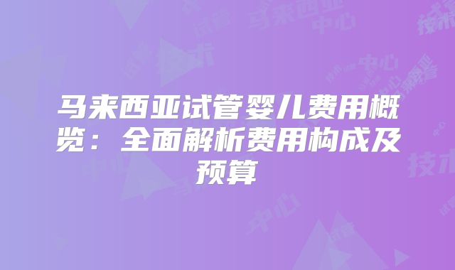 马来西亚试管婴儿费用概览：全面解析费用构成及预算