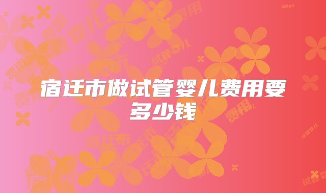 宿迁市做试管婴儿费用要多少钱