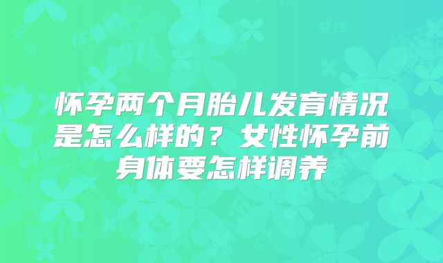 怀孕两个月胎儿发育情况是怎么样的？女性怀孕前身体要怎样调养