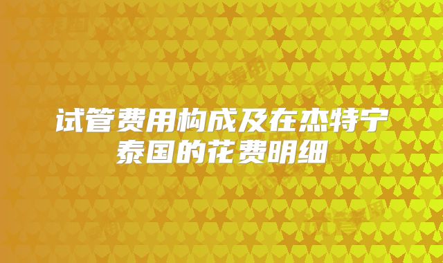 试管费用构成及在杰特宁泰国的花费明细