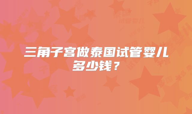 三角子宫做泰国试管婴儿多少钱？