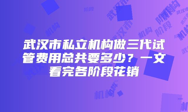 武汉市私立机构做三代试管费用总共要多少？一文看完各阶段花销